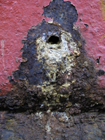 One Of Many Rust Spots