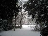 Looking Towards The Park (Steffie)